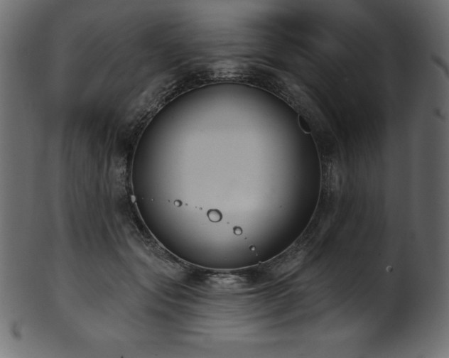 X0000102040557200807181515