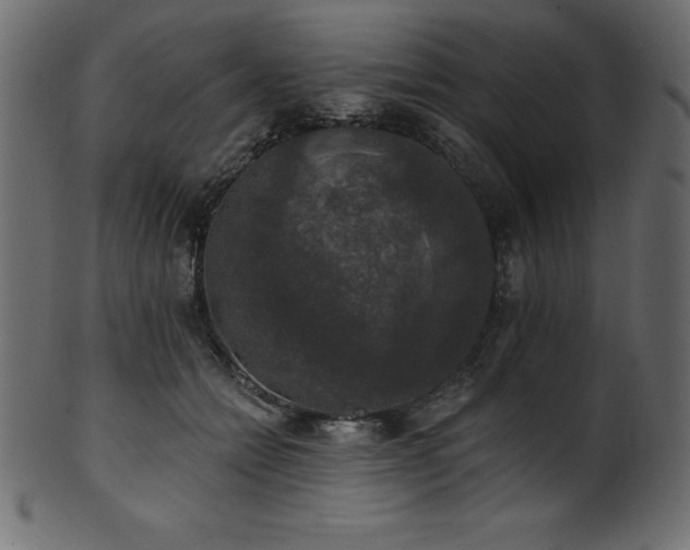 X0000102040558200807181515