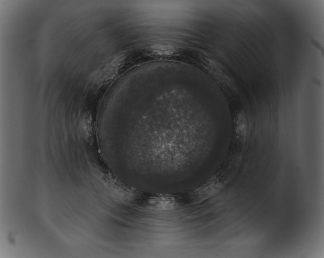 X0000102040559200807181515