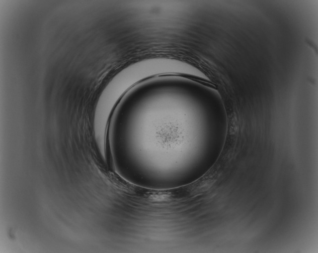 X0000102040560200807181515