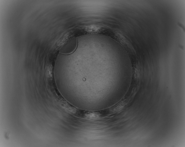 X0000102040561200807181515