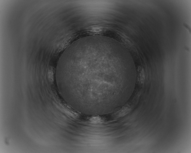 X0000102040562200807181515