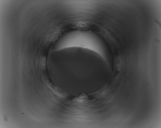 X0000102040563200807181515