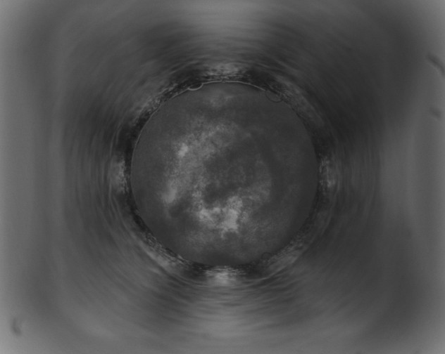 X0000102040564200807181515