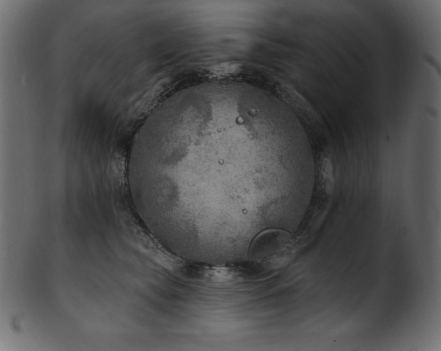 X0000102040565200807181515