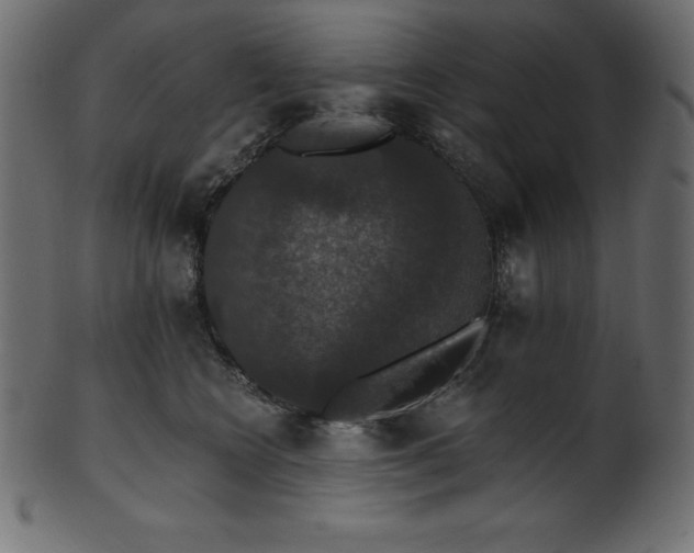 X0000102040566200807181515