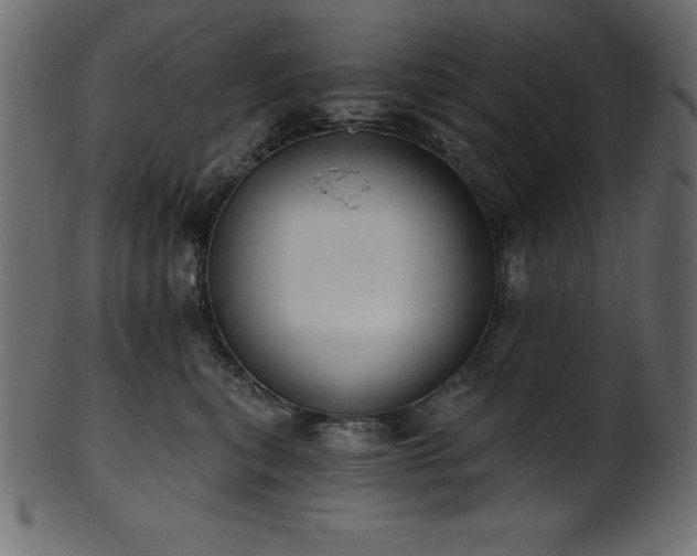 X0000102040567200807181515