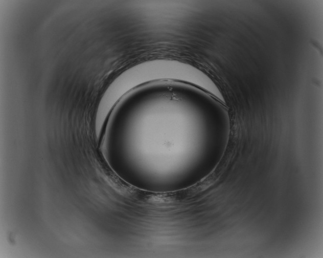 X0000102040568200807181515