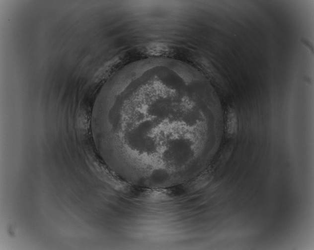 X0000102040569200807181515