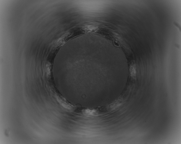 X0000102040570200807181515