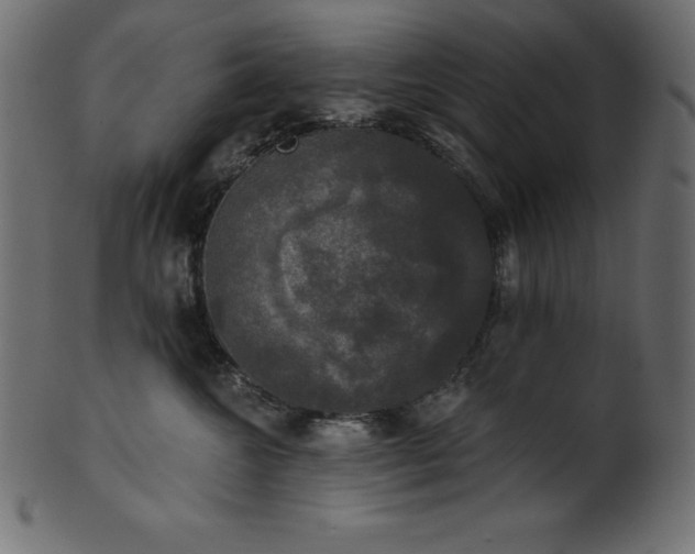 X0000102040572200807181515