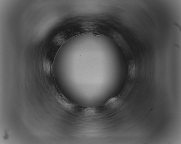 X0000102040574200807181515