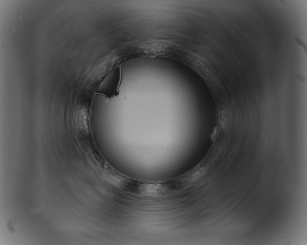 X0000102040575200807181515