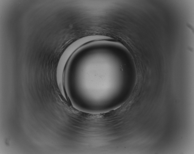 X0000102040576200807181515