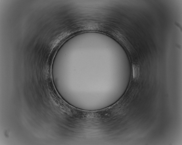 X0000102040579200807181514