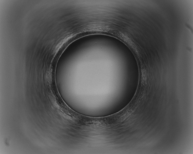 X0000102040580200807181514