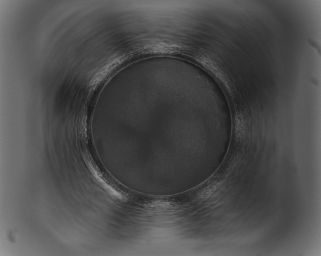 X0000102040581200807181514