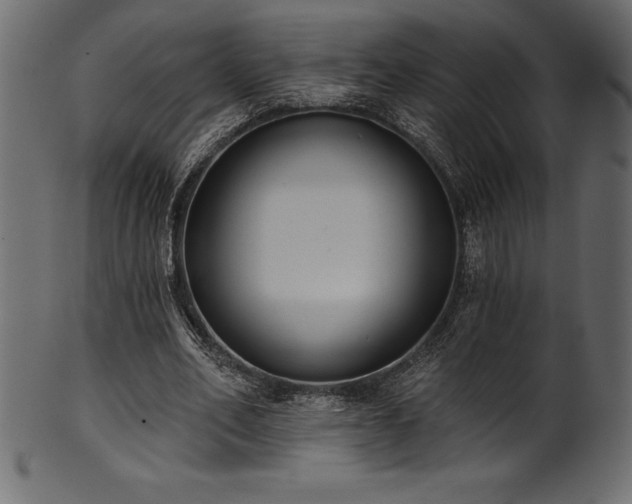 X0000102040582200807181514