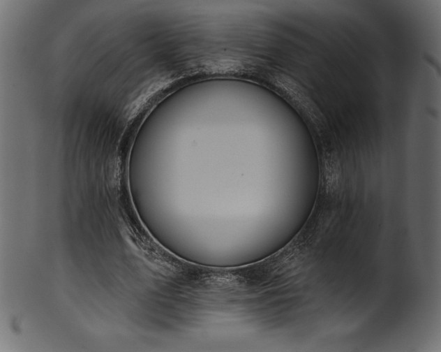 X0000102040583200807181514