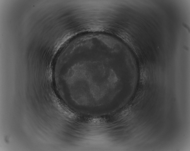 X0000102040584200807181514