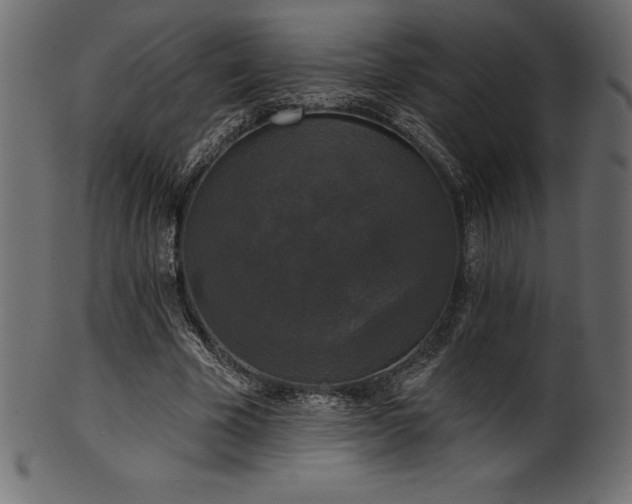 X0000102040585200807181514