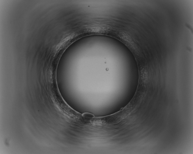 X0000102040587200807181514