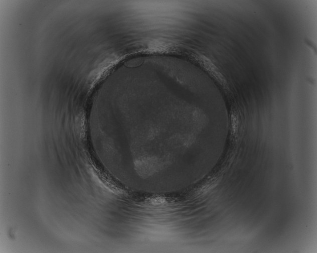 X0000102040588200807181514