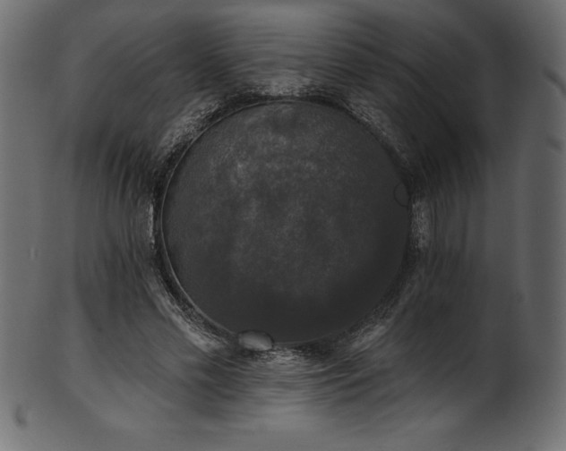 X0000102040589200807181514