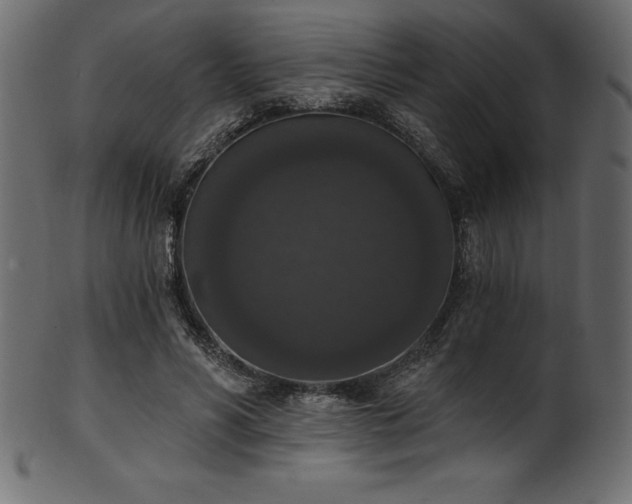 X0000102040590200807181514