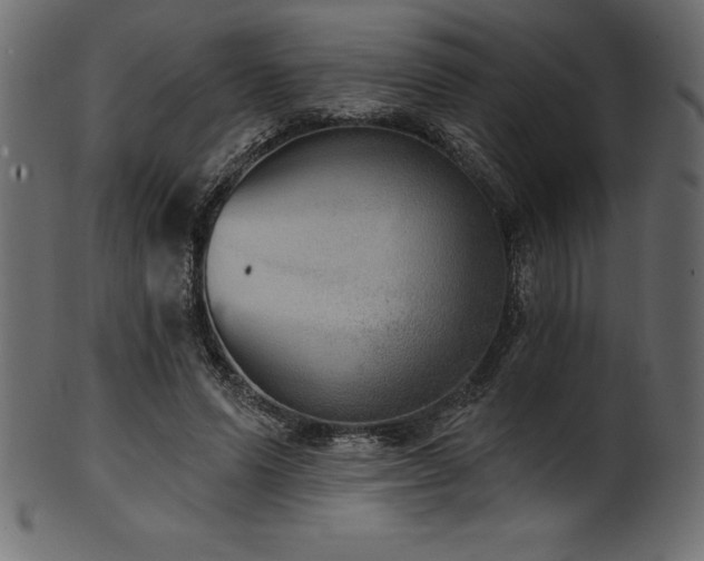 X0000102040591200807181514