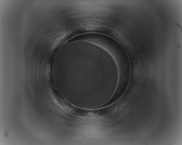 X0000102040592200807181514