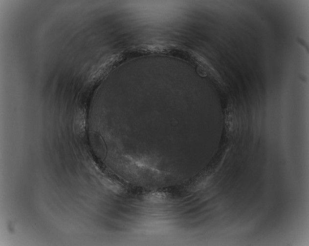 X0000102040593200807181514