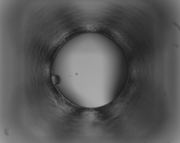 X0000102040595200807181514