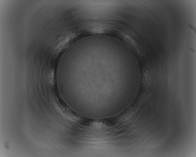 X0000102040596200807181514