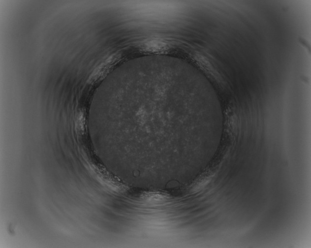 X0000102040597200807181514