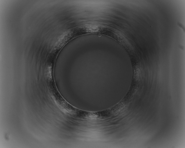 X0000102040598200807181514