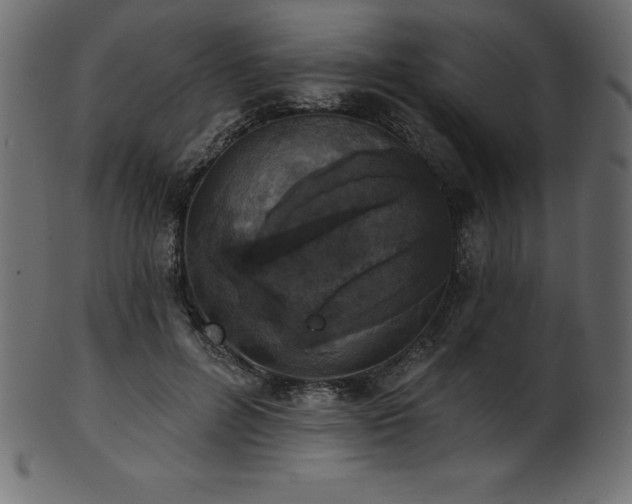 X0000102040600200807181514