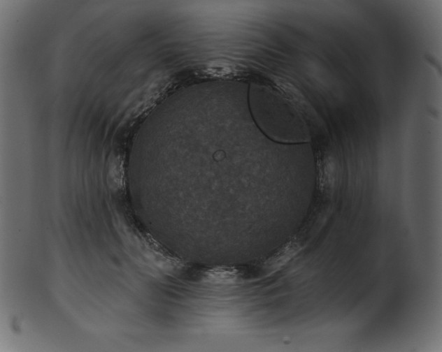 X0000102040606200807181514