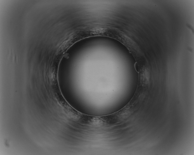 X0000102040608200807181514