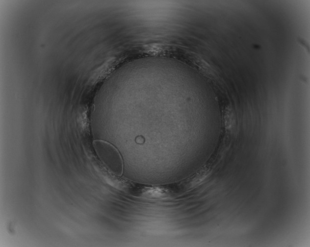 X0000102040611200807181514