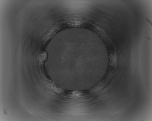 X0000102040612200807181514