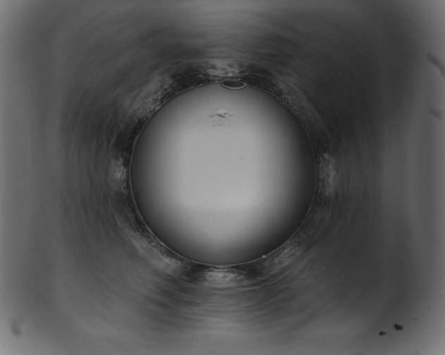 X0000102040614200807181514