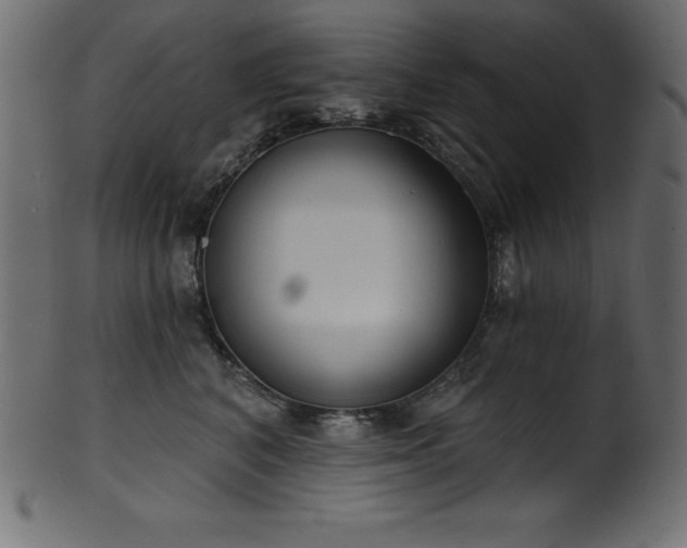 X0000102040616200807181514