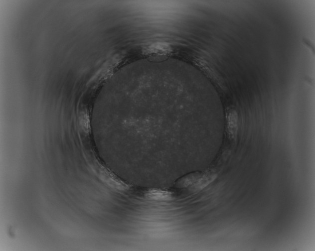 X0000102040617200807181514