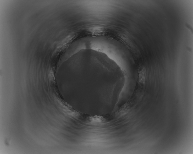 X0000102040618200807181514