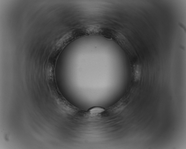 X0000102040619200807181514