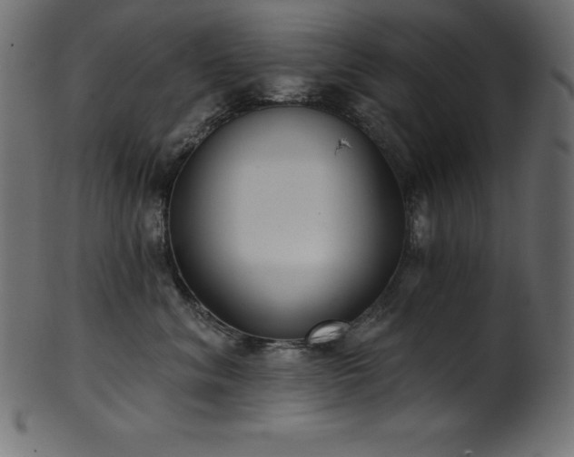 X0000102040620200807181514