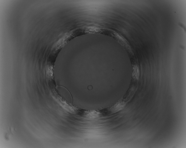 X0000102040621200807181514