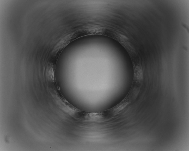 X0000102040622200807181514