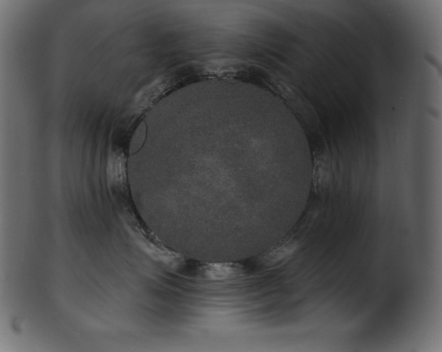 X0000102040623200807181514